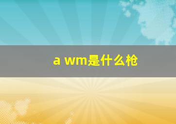 a wm是什么枪